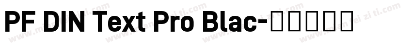 PF DIN Text Pro Blac字体转换